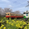 桜と菜の花と〜小湊鐵道2024〜