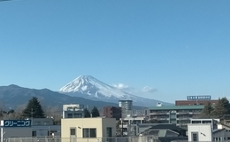 記事を見る