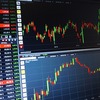 2025年1月のFXの成績