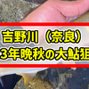 【吉野川(奈良)】2023年晩秋の大鮎狙い!!