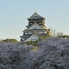 大阪城の春を愛す