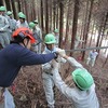 森林実習（選木・間伐・搬出）