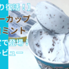 【2年ぶり復活】スーパーカップ チョコミントが期間限定で登場！実食レビュー