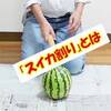 ＜動画UP＞家の中でスイカ割り！？🍉みごと割ることができるのか？🍉Watermelon breaking game