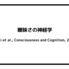 曖昧さの神経学（Zeki et al., Consciousness and Cognition, 2004）