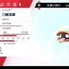 【ポケモン剣盾】色違い探査記1