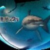 海のハンター展へお出かけ。