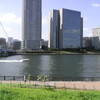 ようやく晴れた週末