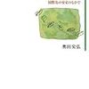 『家族と国籍――国際化の安定のなかで』『越境とアイデンティフィケーション―国籍・パスポート・IDカード』