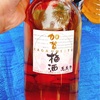 【酒】日経梅酒ランキング１位の「加賀梅酒」は華やかで美味しい（番外編）