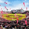 プロ野球の順位予想は何で当たらないのか？