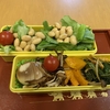 ゆで卵★弁当