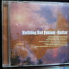 Nothing But Fusion-Guitar