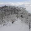2018年1月29日(月)　霧氷の花を求め、雪深い[比良]堂満岳へ