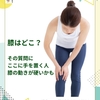 膝はどこだと思ってる？