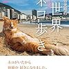 小説のストラテジー（井上亜紀）：芸術を楽しむとは、表面を味わい尽くすこと