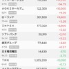 株の保有状況（20250413）