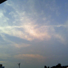 空飛ぶイモムシ　or　深海生物？