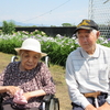 6月　心の花