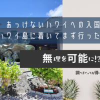 あっけないハワイへの入国とハワイ島に着いてまず行ったお店