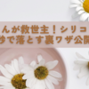 激落ちくんが救世主！シリコン汚れを秒で落とす裏ワザ公開