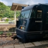 蜂に刺された事で全てを奪われたきのくに線リベンジ🐝🚃そこに銀河鉄道が救ってくれた奇跡💫🚞