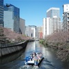 春はすぐそこ。