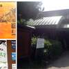 静岡で子連れ旅行。静岡人が提案する虫取り体験ができる観光スポット5つ!