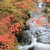 秋の奥日光・竜頭の滝
