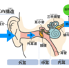 耳鳴り・難聴は専門医の治療法で改善｜耳鳴り・難聴はなぜ起こるのか？-2