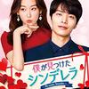 韓国ドラマ「僕が見つけたシンデレラ〜Beauty Inside〜（原題:ビューティーインサイド）」感想 / イ・ミンギ×ソン・ヒョンジン主演  訳あり女優と訳あり御曹司のロマンティックラブコメディ