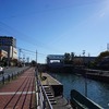 2023/11/20 浦安散歩 02 境川東水門/浦安市役所/猫実一丁目子供遊園・熊野神社/※※※調べる※※※/水神宮/おっぱらみ/新中橋
