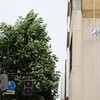 台風通過