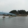 オオカンザクラが満開です。～湖山池・青島（鳥取市）～