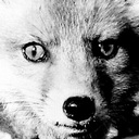 おもしろきこともなき世を。