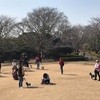 2026年2月16日🐾 今日のマヤ暦