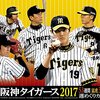 プロ野球 阪神タイガース 〜 退団外国人選手 マットヘイグ選手退団【2016-2017年】