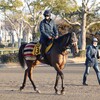 【一口馬主／ソワドリヨン】2024年の初勝利を託す！