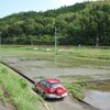 田布施キャンバス田植え