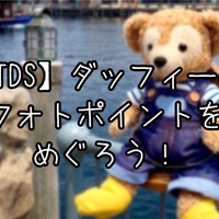 インパ日記 ダッフィー フレンズ新キャラ クッキーアンお迎え かわいい子の選び方 究極雨女ほのぷーのディズニー放浪記 インパ日記 ダッフィー フレンズ新キャラ クッキーアンお迎え かわいい子の選び方 究極雨女ほのぷーのディズニー放浪記