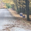 アメリカは選挙間近でドキドキハラハラ