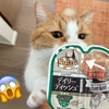 猛暑が続きますが、るるちゃんの食欲は相変わらず旺盛！