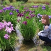 うてなさん撮影会2020（花菖蒲園）