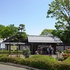 町田市の「ぼたん園」の花々