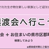 猫を飼うために、必要な猫の探し方。