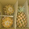 石垣島よりピーチパイン届く🍍