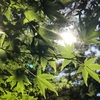 表現・創造力の深化∞440