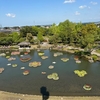 富山旅〜砺波チューリップフェア③