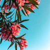 ５月セミナー終了で色々思ったこと
