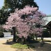 お花見イベント＋HSP交流会【須磨寺公園】アクセス（兵庫県神戸市）